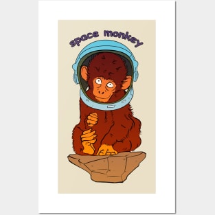 Space monkey Posters and Art